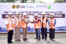 Ekspor 19,8 Ton Biji Kopi Pagaralam ke Malaysia, Minat Pasar Internasional Meningkat