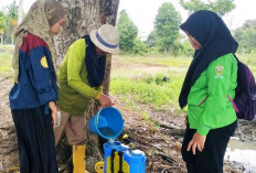 Gunakan Bio-Insektisida, Cegah Walang Sangit 
