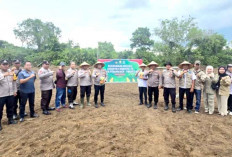 Polsek Pedamaran Tanam Jagung dan Dukung Ketahanan Pangan di Desa Binaan