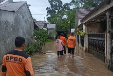 Awal Tahun Perumnas Graha Emas Empat Lawang Terendam Banjir 