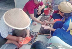 KWT Mekar Arum Belitang II Sukses Kembangkan Bibit Cabai, Raup Omzet Jutaan