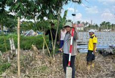 Imbau Pemilik Tanah Pasang Patok Batas untuk Cegah Sengketa