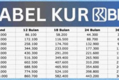 Simulasi Cicilan KUR BRI 2025, Pinjaman Hingga Rp100 Juta dengan Bunga 6%