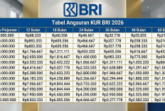 Pinjaman BRI 2026: Antara Harapan Penurunan Bunga dan Realitas Skema Lama