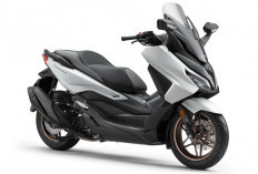 Warna Eksklusif, Honda Forza Makin Berkelas 