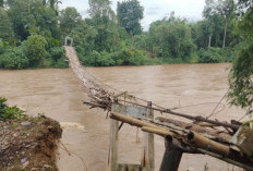 Jembatan Gantung Rusak ! Warga Gaung Kabupaten Empat Lawang Tidak Bisa Berkebun