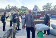 Serap 4 Ribu Ton GKP Petani Lokal 