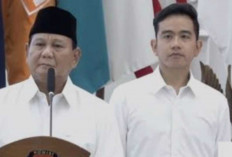 Revisi UU Kementerian: Koalisi dan Kebijakan di Era Prabowo-Gibran, Apa yang Berubah?