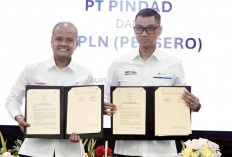 Kembangkan Pembangkit Listrik Bersih Wilayah 3T, Kerja Sama PT PLN-Pindad