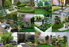 Inspirasi Anda yang Mau Membuat Taman Minimalis Depan Rumah