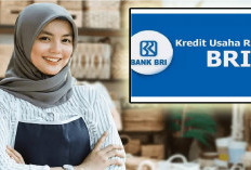 KUR BRI 2025 Resmi Dibuka! Modal Usaha hingga 500 Juta, Tanpa Jaminan! Peluang Emas UMKM Naik Kelas! 