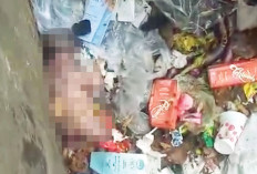 Bayi dengan Ari-Ari Masih Menempel Ditemukan Tertimbun di Kotak Sampah