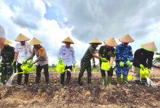 Polda Sumsel Launching Gugus Tugas Polri Dukung Ketahanan Pangan, Tanam Horti dan Ikan di Lahan 1.500 Hektare