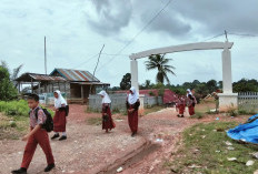 Persetujuan Pinjam Pakai Lahan SDN 1 Rantau Bayur Berujung Polemik, Jalan Desa Dibangun untuk Akses Pribadi