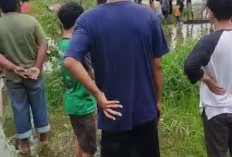 Siswa SD Tenggelam di Lebak Murni, Sampai Kini Masih Pencarian