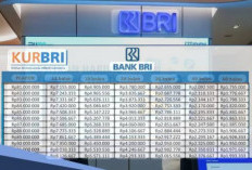 Cepat dan Mudah! Begini Cara Mendapatkan Pinjaman KUR BRI untuk UMKM Tahun 2025