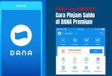 Cepat dan Praktis! Ini Cara Pinjam Saldo di DANA Premium