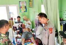 Petani Karet di Musi Rawas Diserang Beruang Saat Menyadap, Luka Parah di Kepala dan Tubuh