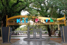 Rekomendasi 4 Taman Kota Palembang, Cocok Ajak Anak Refreshing dan Olahraga