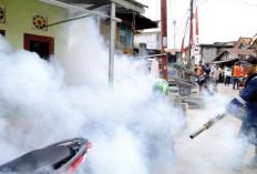 Serentak Berantas Sarang Nyamuk, Kasus DBD Terus Meningkat 