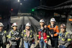 Ini 13 Universitas Terbaik Lulusannya Diburu PT Pertamina dan Freeport Salah Satunya Unsri