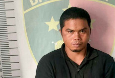 Pencuri Sawit di Banyuasin ini di Ringkus, Berkilah di Lahan Sendiri