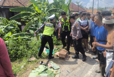 Laju Truk Tak Terkendali, Satu Keluarga Tewas dalam Kecelakaan Maut di Jalintim Ogan Ilir