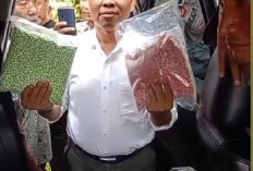 Penangkapan Bandar Narkoba Lubuklinggau Terungkap, 30 Kg Sabu dan 11 Ribu Pil Ekstasi Disita