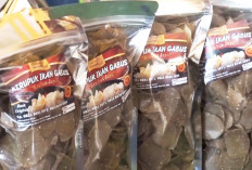 Martajaya Jadi Kampung Olahan Ikan