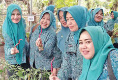 Tanam Cabai di Pekarangan Rumah-Kebun PKK