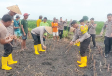 Tanam Singkong di Lahan 40 Hektare, Dukung Program Ketahanan Pangan Nasional