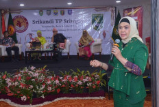 Ratu Sinuhun, Simbol Kekuatan Perempuan Sumatera Selatan yang Layak Dianugerahi Gelar Pahlawan Nasional