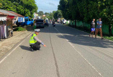 Kronologi Kecelakaan Maut Depan SDN 47 Lubuklinggau: Sepeda Motor Hancur, 2 Nyawa Melayang