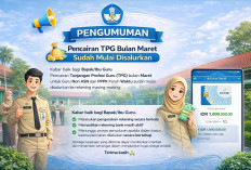 TPG Maret 2026 Mulai Cair, Ini Kategori Guru yang Mendapatkannya