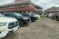 Asyik, Camat di Banyuasin Dapat Mobil Baru, Ternyata Statusnya Sewa