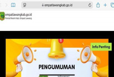 Website Pemkab Empat Lawang Diretas oleh Jaringan Judi Online, Kini Telah Normal Kembali