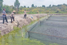 Budidaya Ikan,   Dorong Ketahanan Pangan