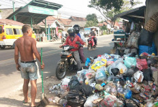Jadi Problem Pemerintah dan Masyarakat, Sulap Sampah Rumah Tangga Jadi Pakan Ternak