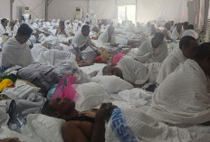 Suhu Arafah Tembus 46 Derajat, Jemaah Haji OKI Bertahan di Tengah Cuaca Ekstrem
