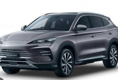 BYD Sealion 6, Perpaduan Teknologi DM-i dan Estetika Samudra dalam Wujud SUV Cerdas Masa Depan