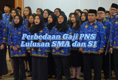 Perbedaan Gaji PNS Lulusan SMA dan S1, Pilih Kuliah Dulu atau Langsung Daftar?