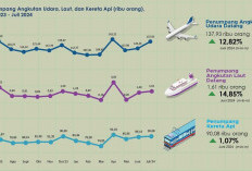 Jumlah Penumpang Moda Transportasi Sumsel Juli 2024, Terjadi Peningkatan Signifikan pada Udara dan Laut