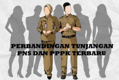 Ada Tunjangan Baru, Inilah Perbedaan Tunjangan yang Diterima PNS dan PPPK