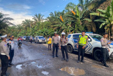 Polisi dan Ditlantas Polda Sumsel Survei Jalan Nasional di Musi Rawas, Sejumlah Titik Ditemukan Rusak Parah