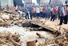 Pemprov Sumsel dan BNPB Dorong Percepatan Pemulihan Pascabencana Banjir di Sumsel