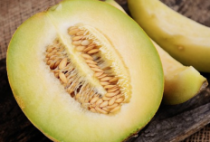 Ini 5 cara yang Bisa Dilakukan Agar Melon Rasanya Manis 