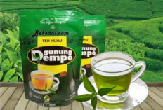 7 Manfaat Minum Teh Hijau Pagaralam: Dari Imun Kuat hingga Bantu Diet