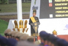 Presiden Jokowi Pimpin Upacara Hari Lahir Pancasila di Riau dengan Pakaian Adat Melayu