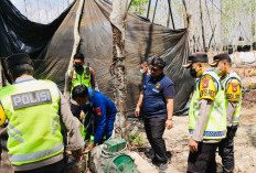 Polda Sumsel Bongkar 58 Kasus Illegal Drilling dan Illegal Refinery dalam Waktu Singkat