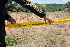 DLH Segel Rencana Jalan Hauling Batu Bara di Lahat, Massa Gelar Aksi Damai